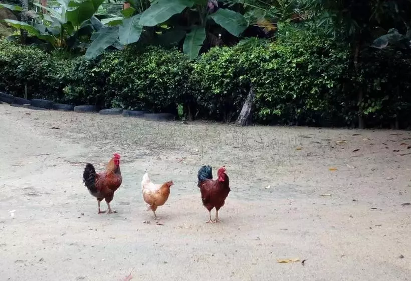 Hostel Finca La Gordita