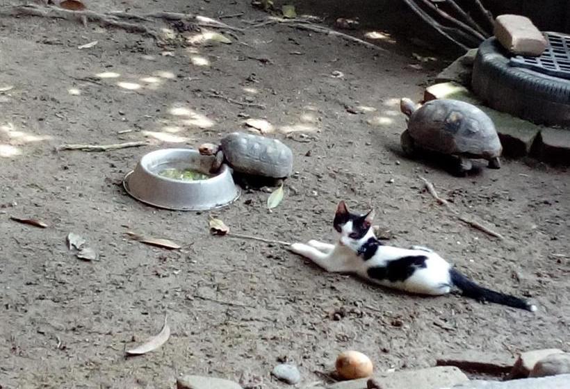 Hostel Finca La Gordita