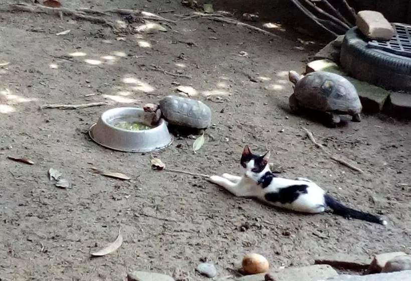 Hostel Finca La Gordita