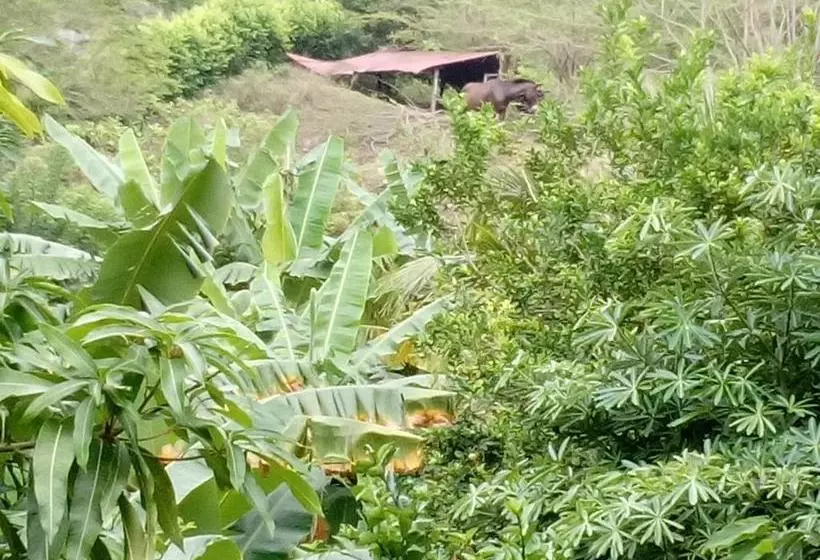 Hostel Finca La Gordita