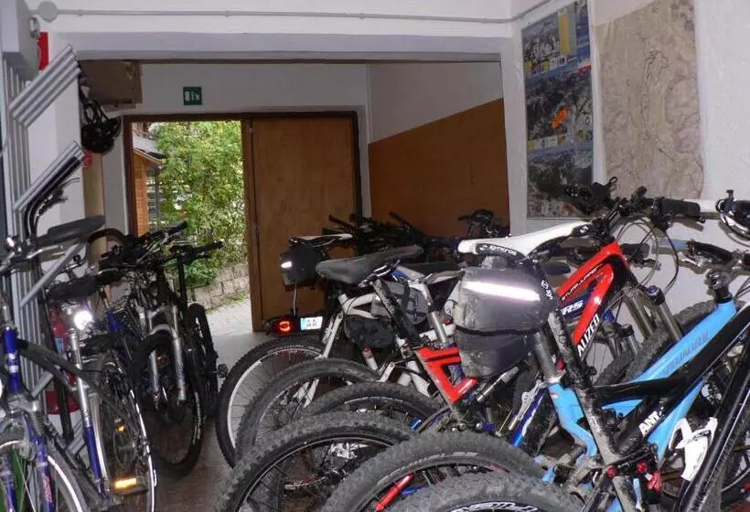 Hotelli Alpenrose Dolomites