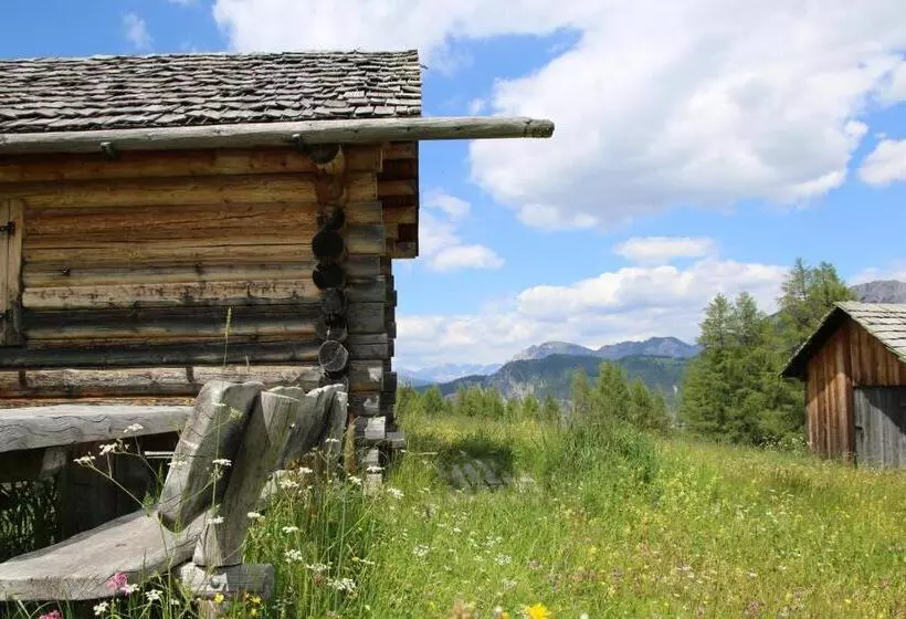 Hotelli Alpenrose Dolomites