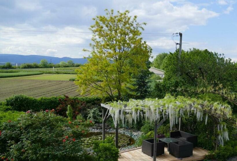 בית מלון כפרי Au Relais De L'ill