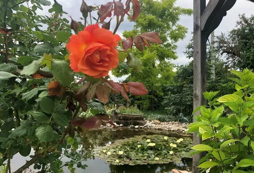 ホテル Au Relais De L'ill