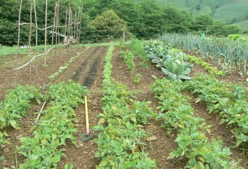ホテル La Ferme Aux Sangliers   Micalet