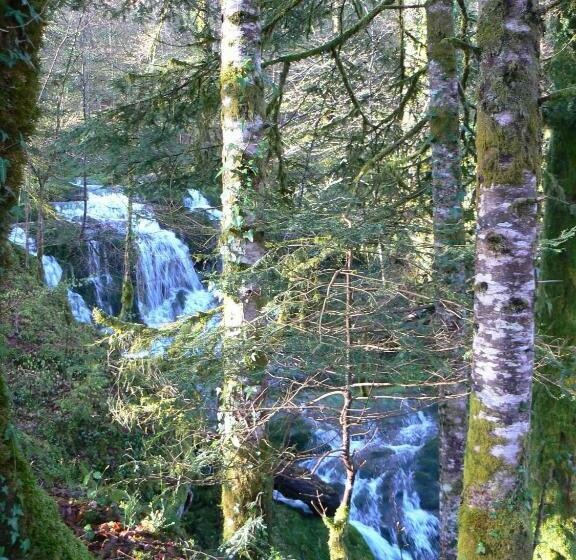 فندق La Ferme Aux Sangliers Micalet