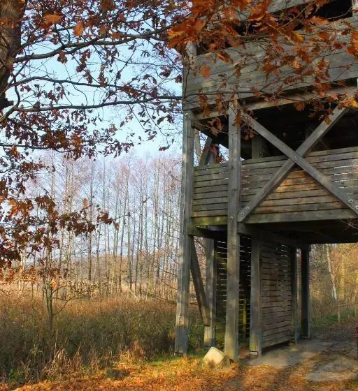 Hotelli Müritz Park