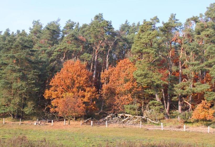 ホテル Müritz Park