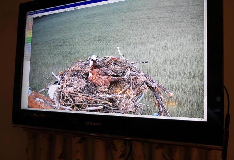 ホテル Müritz Park