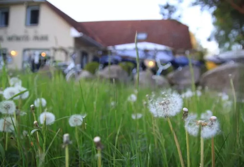 Hotelli Müritz Park