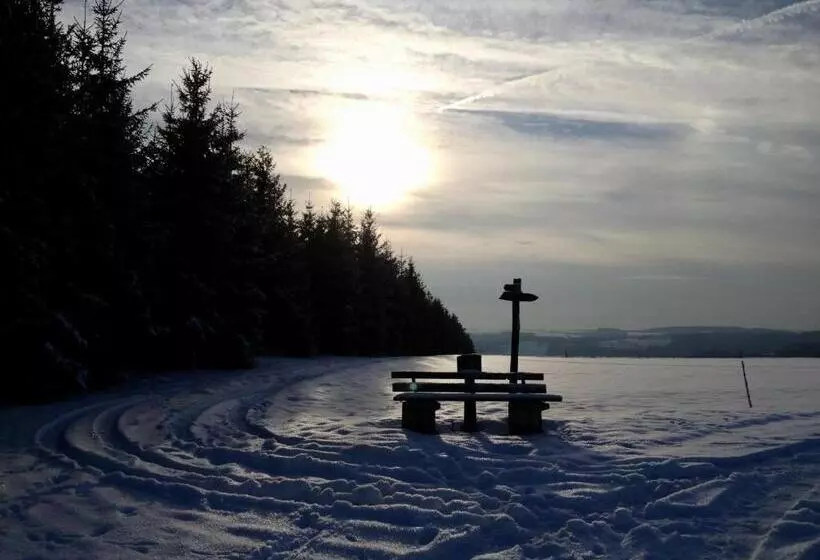 Hotelli Zur Alten Mühle