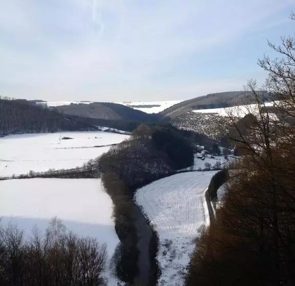 Hotelli Zur Alten Mühle