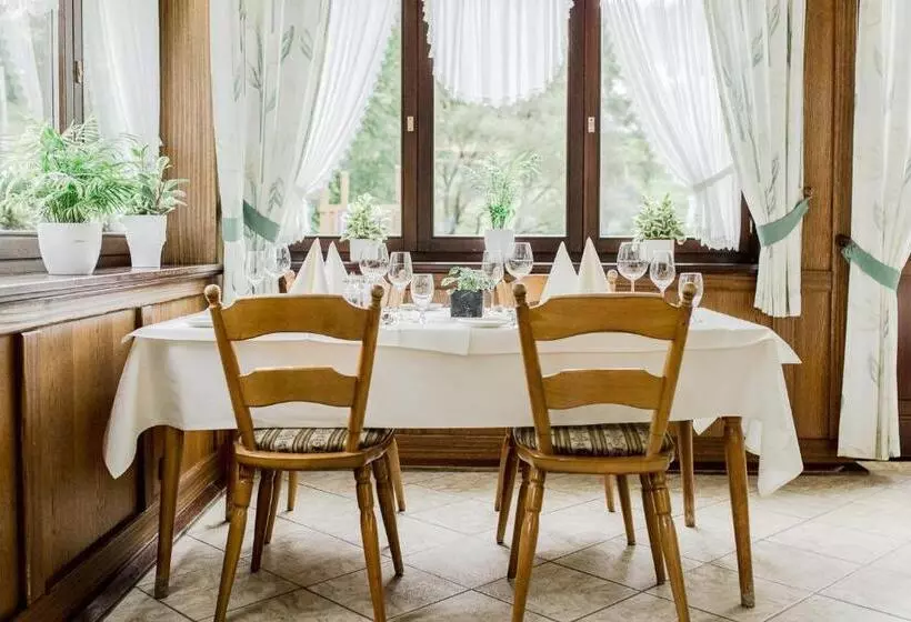 Hotelli Zur Alten Mühle