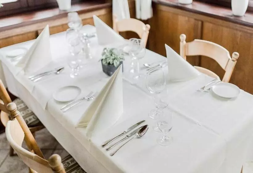 Hotelli Zur Alten Mühle