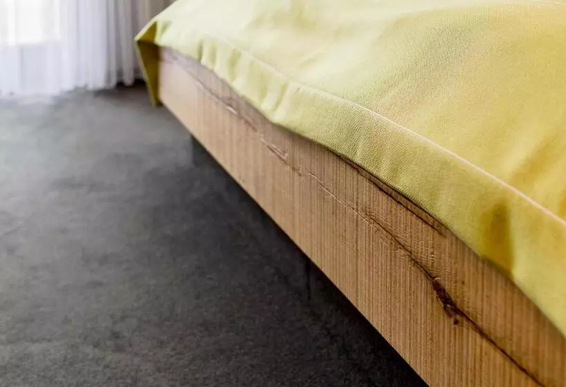 Hotelli Zur Alten Mühle