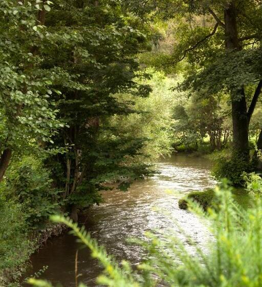 בית מלון כפרי Zur Alten Mühle