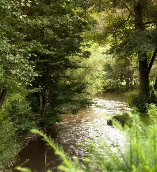 Hotelli Zur Alten Mühle