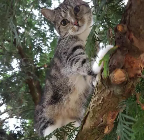 Majatalo Ferienhof Hanum