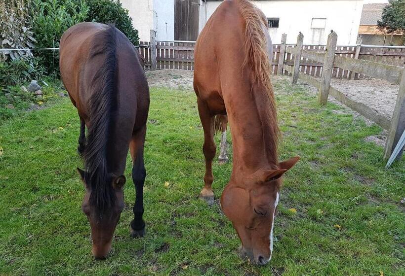 ペンション Ferienhof Hanum