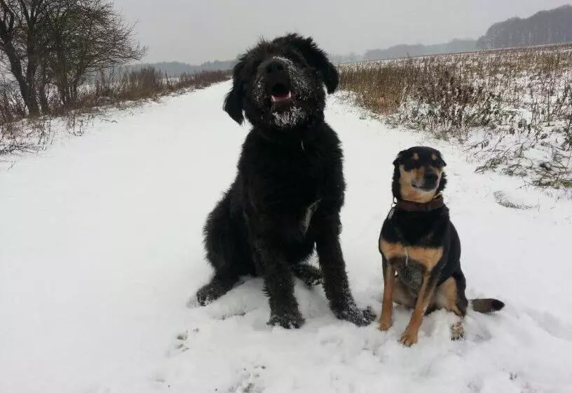 Majatalo Ferienhof Hanum