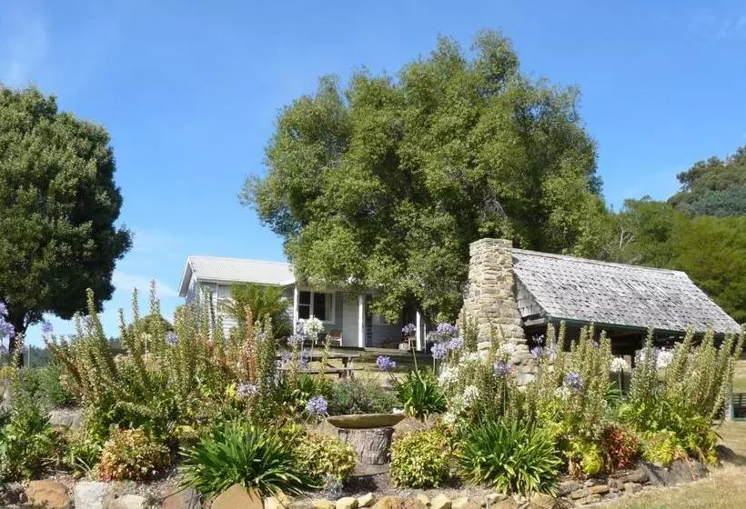 Majatalo Sassafras Springs