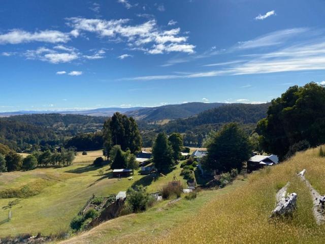 Пансион Sassafras Springs