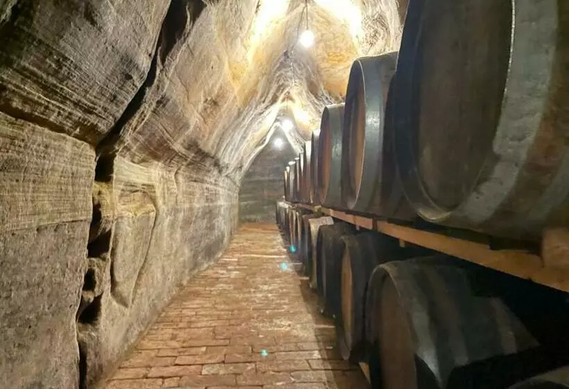 Majatalo U Hrádku Superior