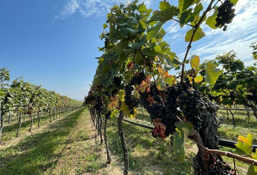 펜션 U Hrádku Superior