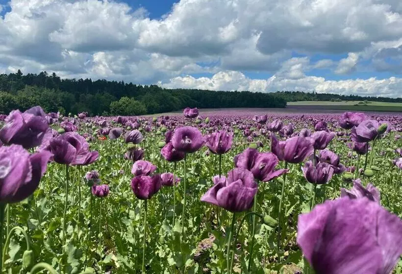 Majatalo U Hrádku Superior