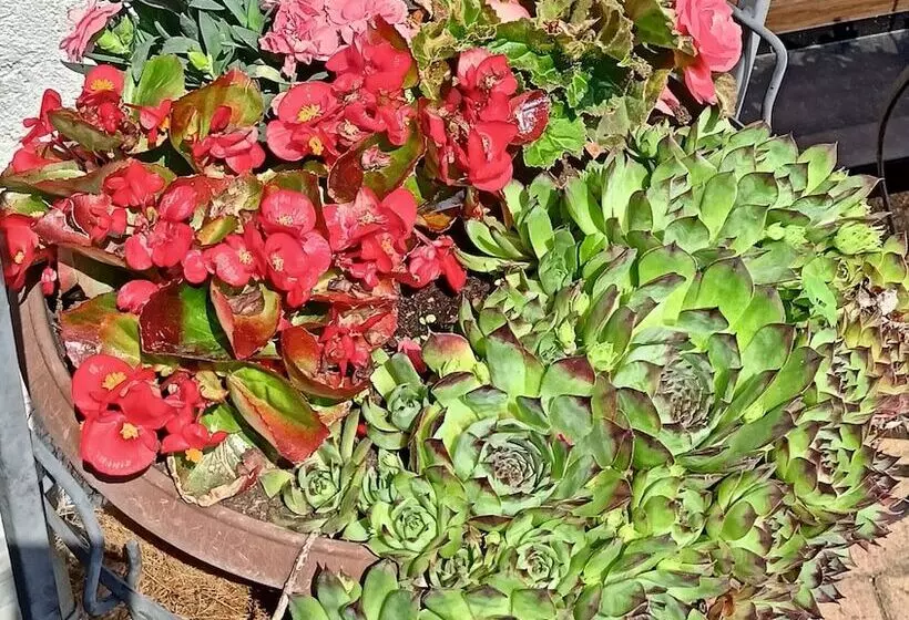 Pension Dreilandereck