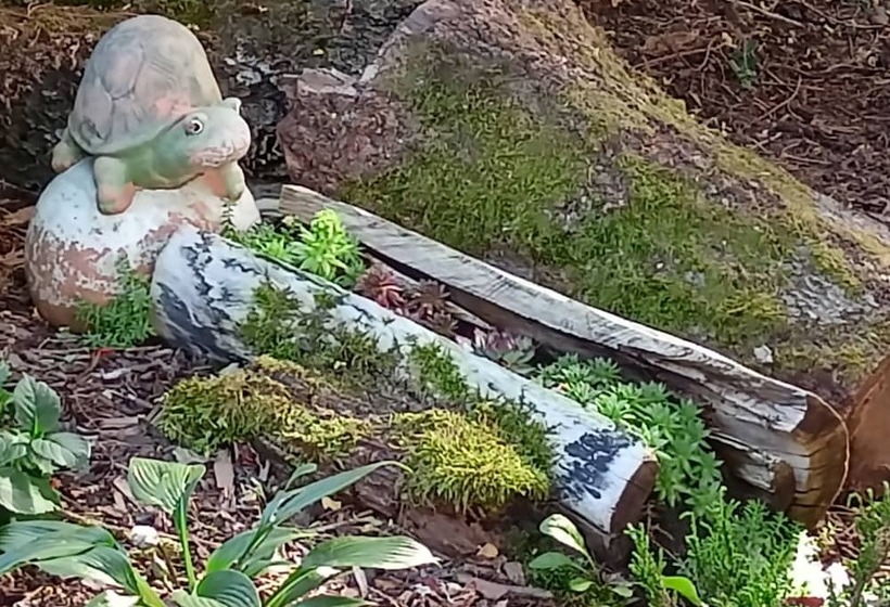 Pension Dreilandereck