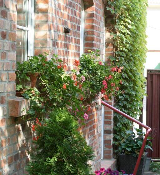 Pension Kunsthof Dahrenstedt