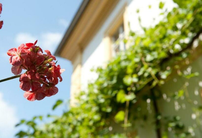Retkeilymaja Gasthaus Zur Sonne