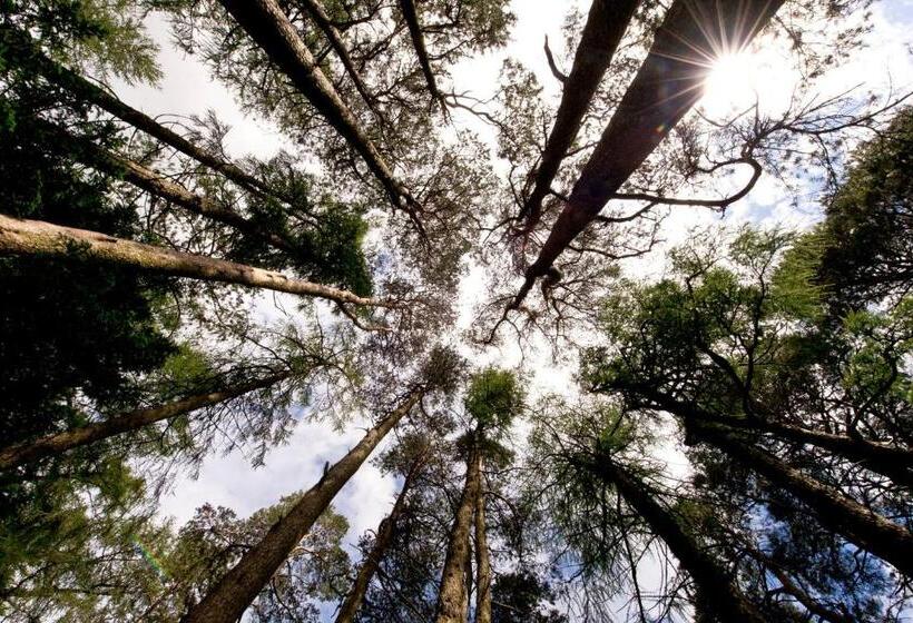 ユースホステル Yha Idwal Cottage