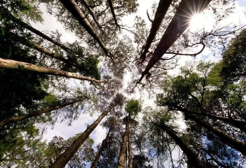 Retkeilymaja Yha Idwal Cottage
