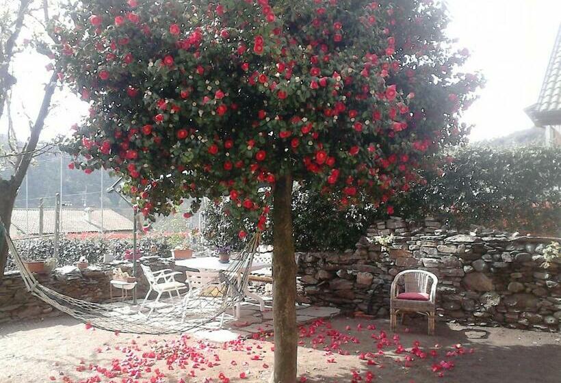B&b Il Castello Lago Maggiore Con Terrazza