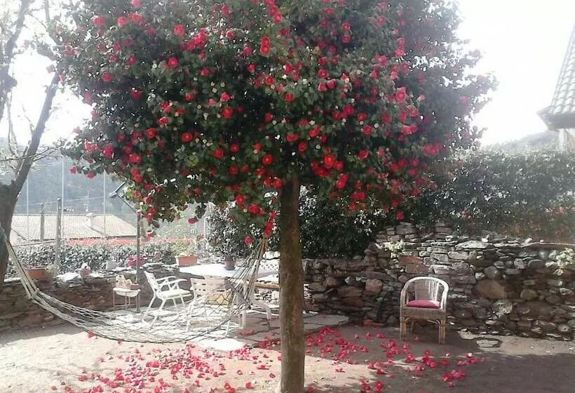 B&b Il Castello Lago Maggiore Con Terrazza