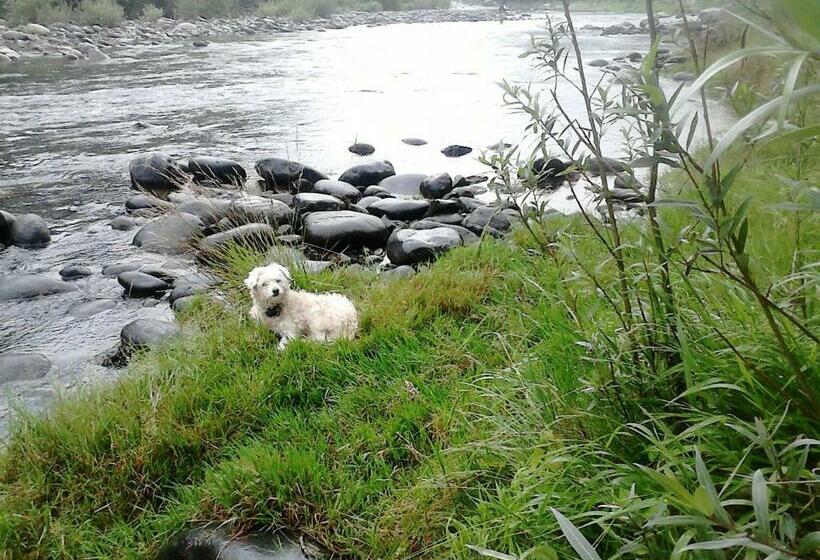 B&b Il Castello Lago Maggiore Con Terrazza