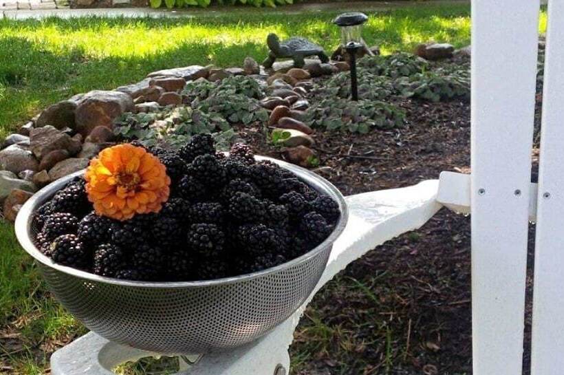 住宿加早餐 Inn At Huntingfield Creek