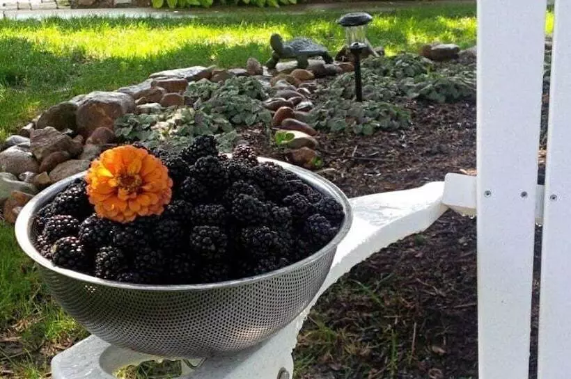 Aamiaismajoitus (B&B) Inn At Huntingfield Creek