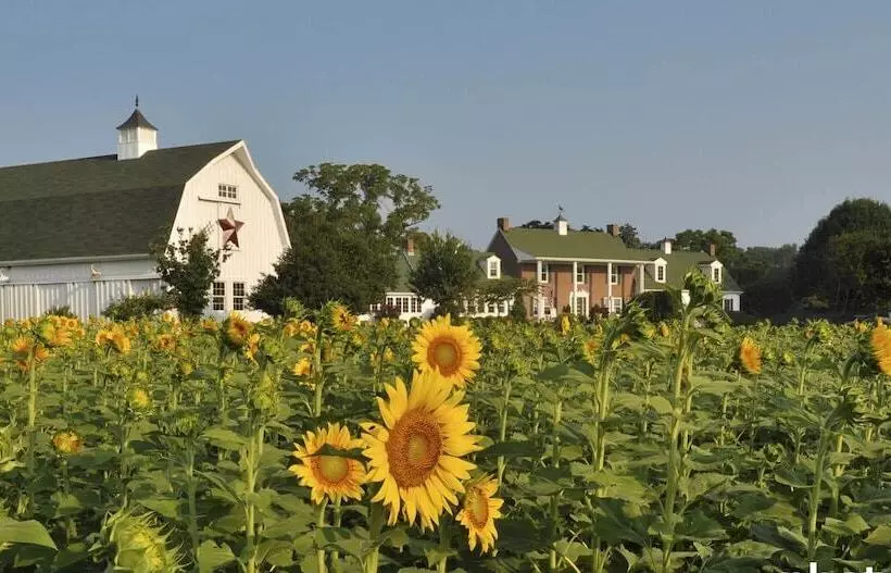 Aamiaismajoitus (B&B) Inn At Huntingfield Creek
