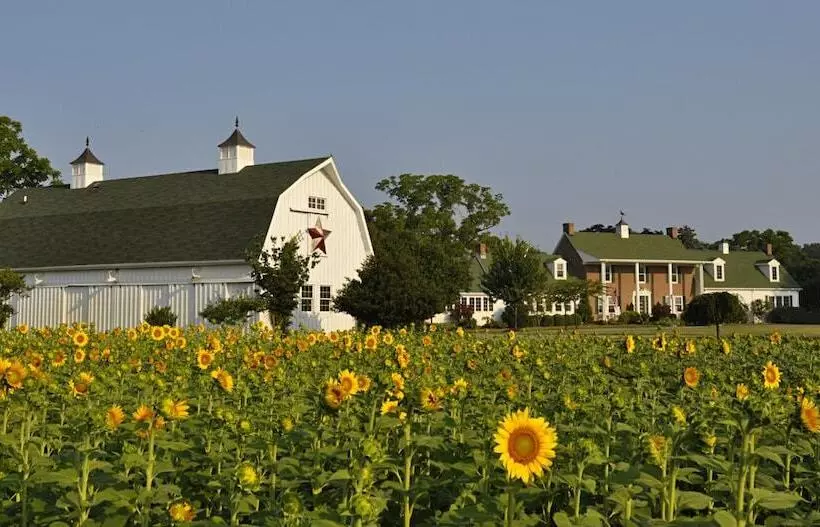 Aamiaismajoitus (B&B) Inn At Huntingfield Creek