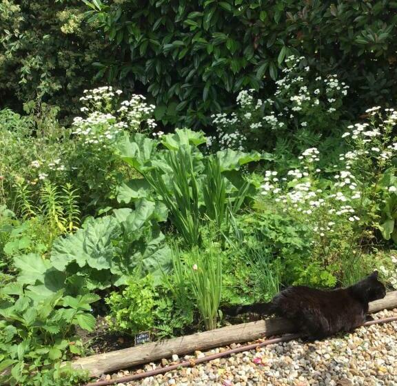 تختخواب و صبحانه Le Clos Du Vivier