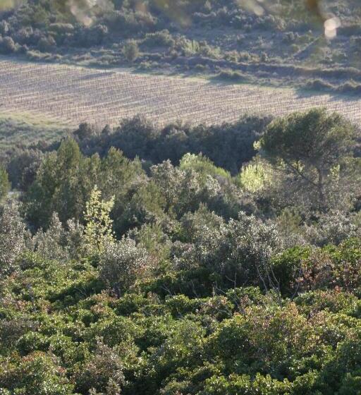 Bed and Breakfast Villa Hanna