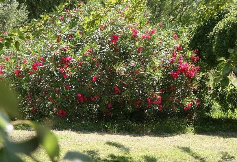 Bed and Breakfast Villa Hanna