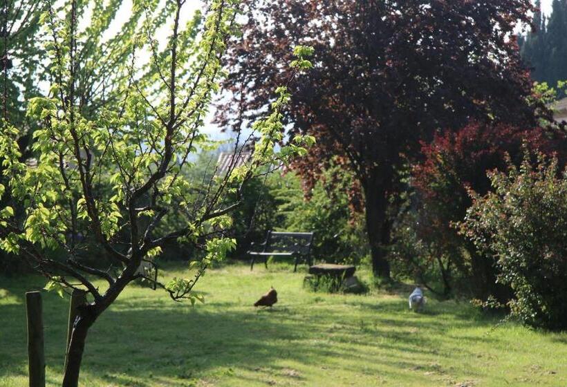 Bed and Breakfast Villa Hanna