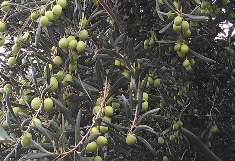 Goolgowi Highway Motel