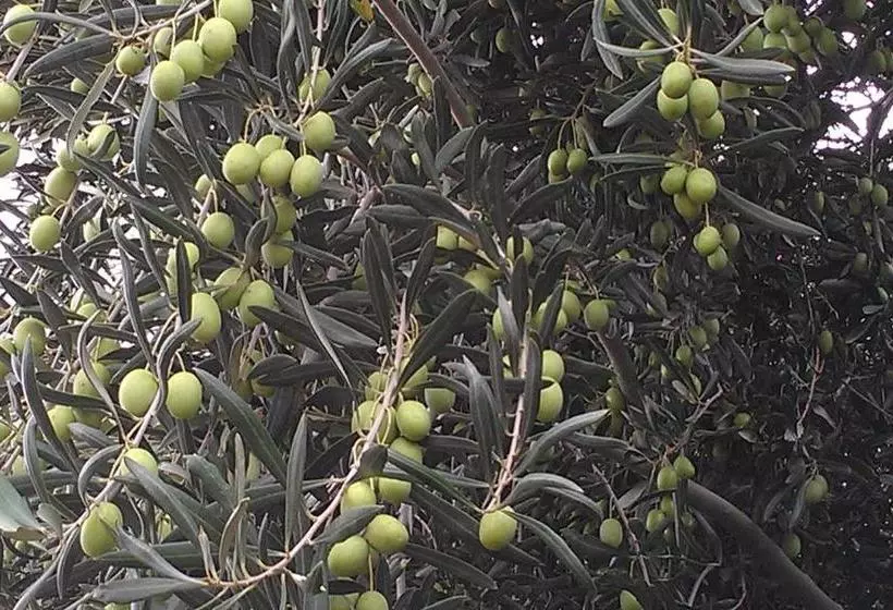 Goolgowi Highway Motel