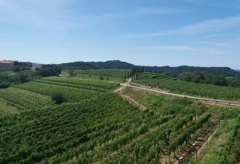 ホテル Agriturismo Casa Delle Rose Winery
