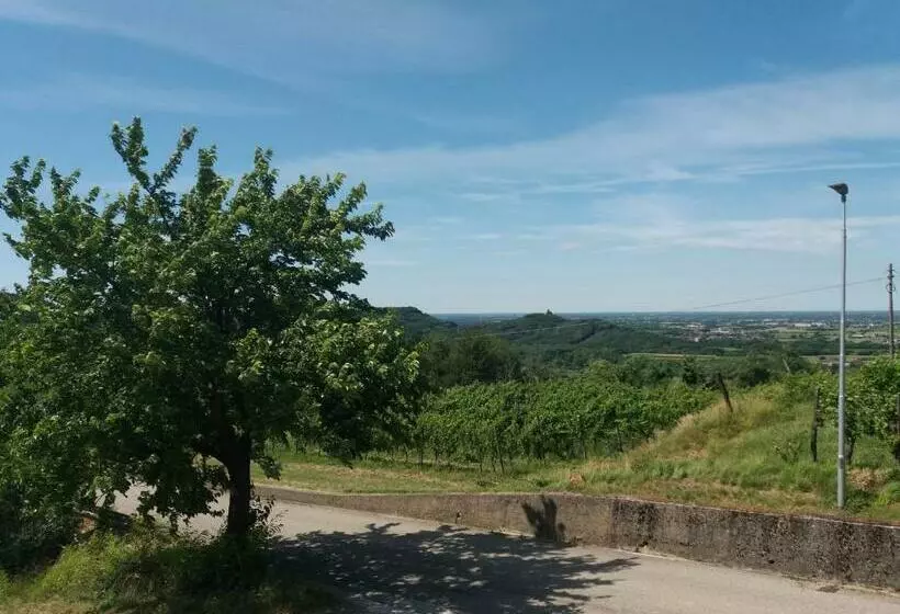 ホテル Agriturismo Casa Delle Rose Winery